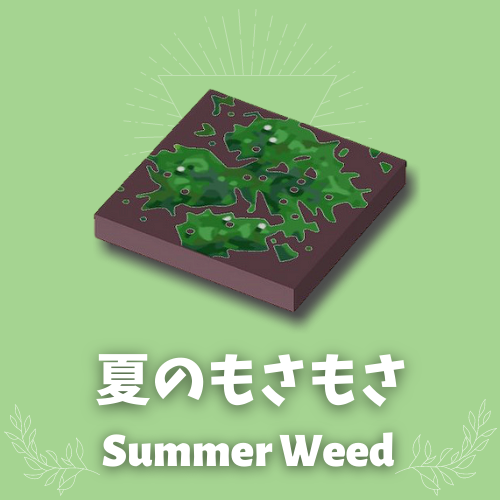 summer weed