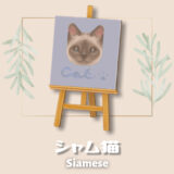 シャム猫 [Siamese Cat]【あつ森マイデザ】