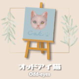 オッドアイの猫 [Odd eyes]【あつ森マイデザ】