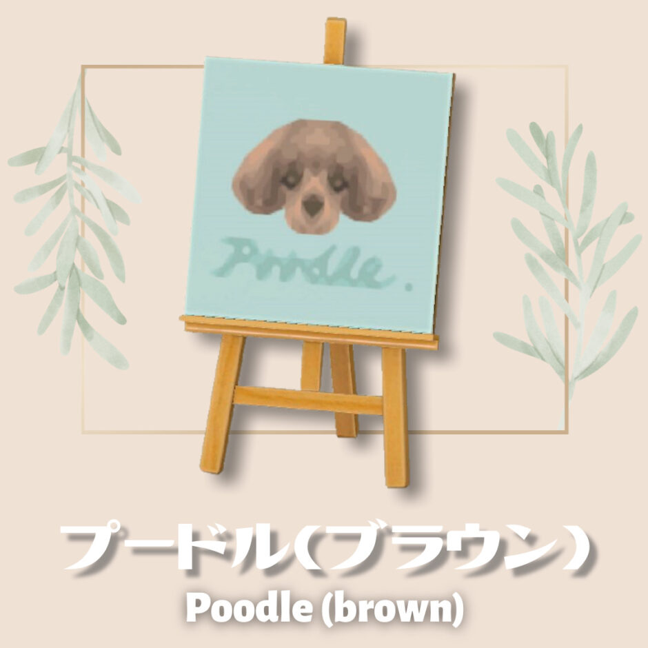 poodle brown